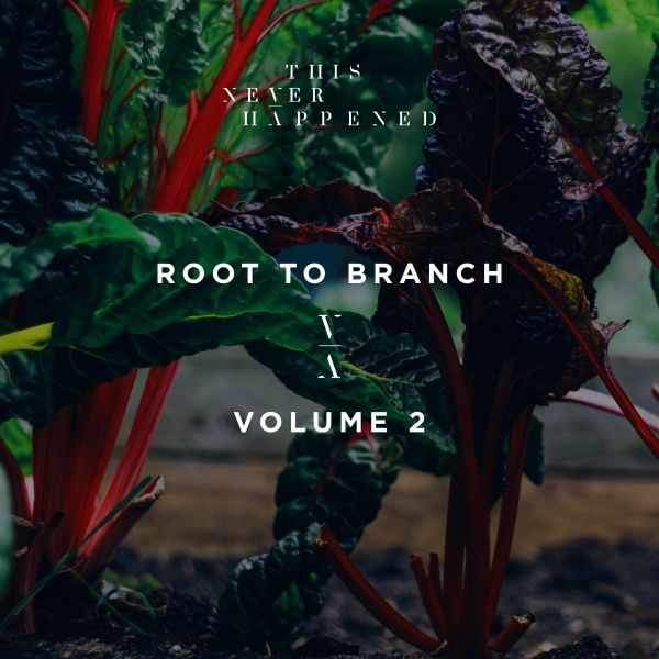 File:Various Artists - 2018 - Root To Branch (Volume 2).jpg