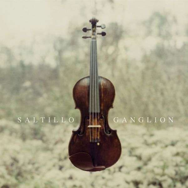 File:Saltillo - 2006 - Ganglion.jpg